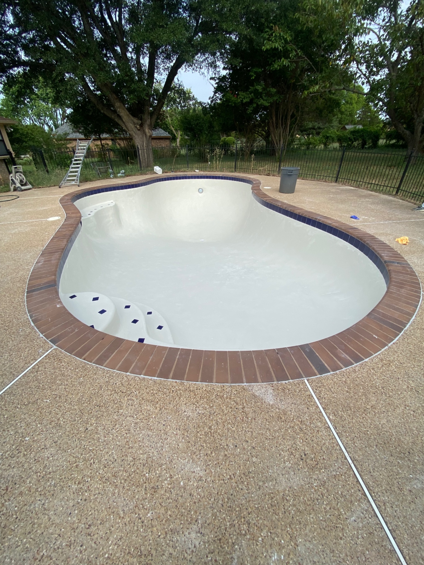 Freshly replastered freeform pool with brick coping in Texas